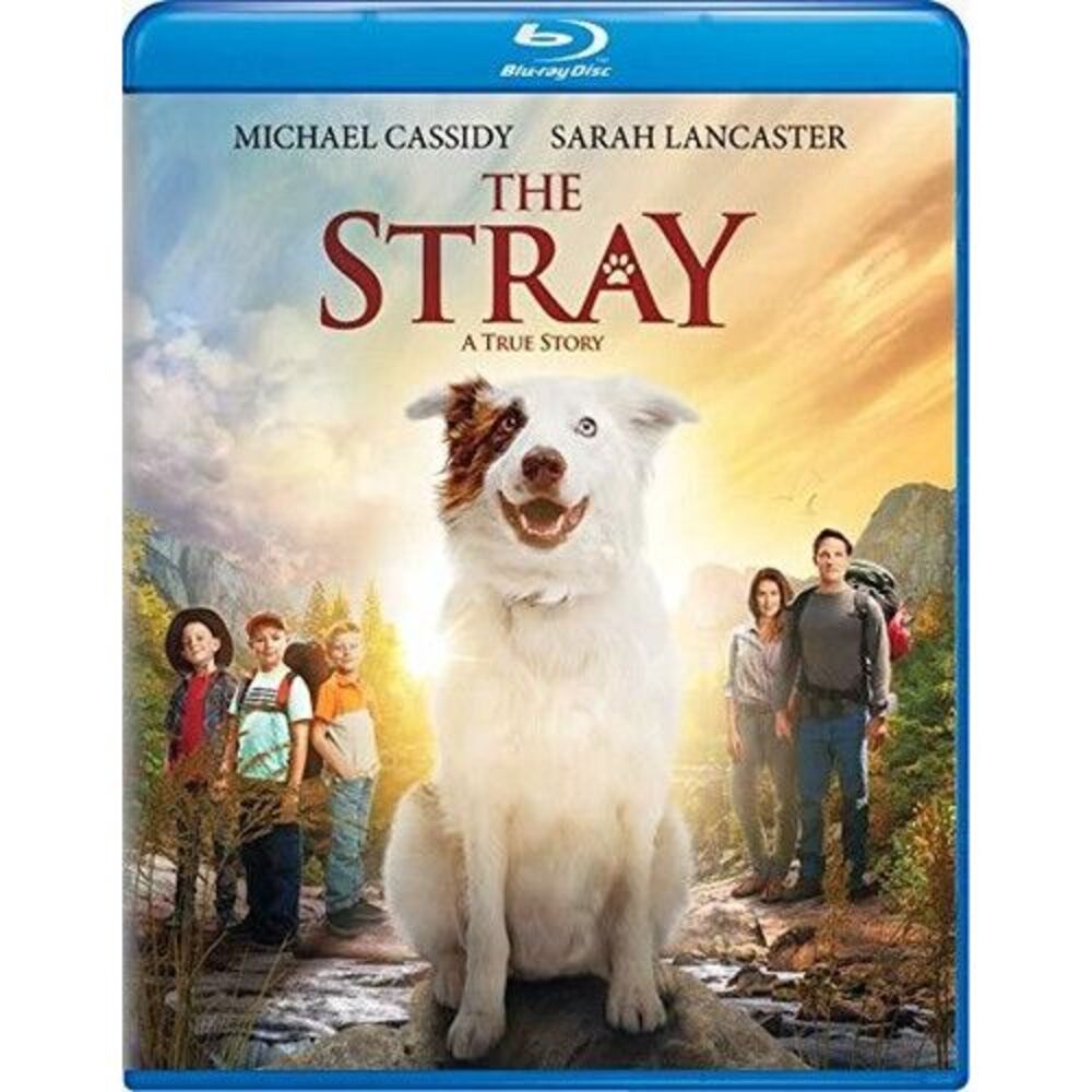 Stray